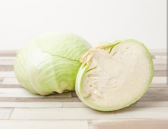 شرکت تامین کلم سفید