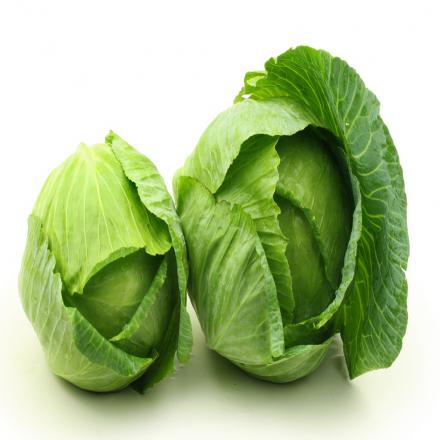 پخش کننده کلم سفید درجه یک