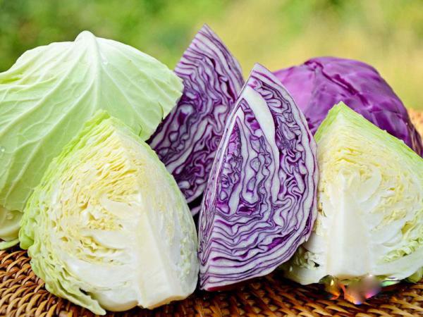 خرید مستقیم کلم برگ