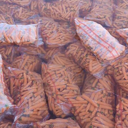 عرضه انواع هویج عمده خوزستان