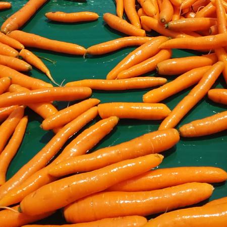بهبود هضم بدن با هویج