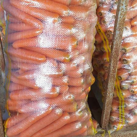 تقویت استخوان ها با خوردن هویج