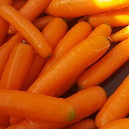 خواص شگفت انگیز هویج برای زیبایی