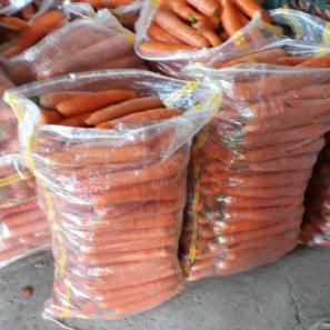خرید هویج نارنجی باکیفیت صادراتی