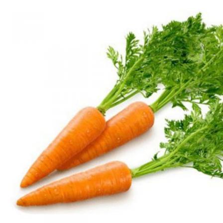 از هویج چه می دانید؟
