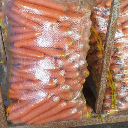 عرضه مستقیم هویج بسته بندی منجمد
