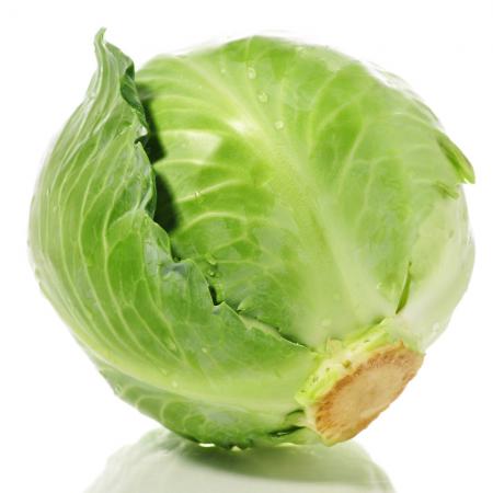 کلم مرغوب