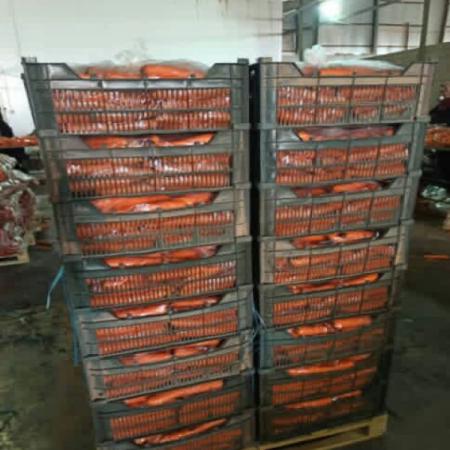 تولید عمده هویج فله 1 کیلویی