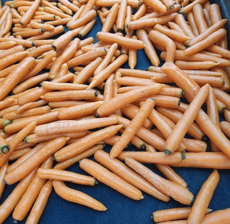 هویج تازه چه ویژگی هایی دارد؟