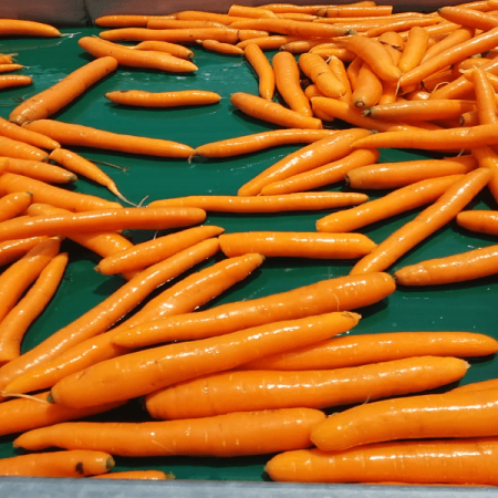 هویج منجمد در کجا استفاده می شود؟