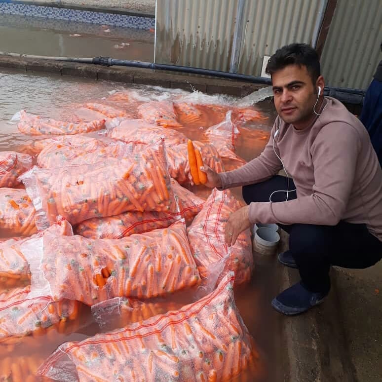 هویج مرغوب دستچین مخصوص صادرات